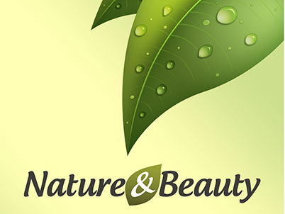 Приложение интернет магазин “Nature&Beauty”